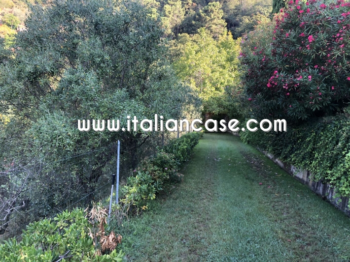 Codice V01138